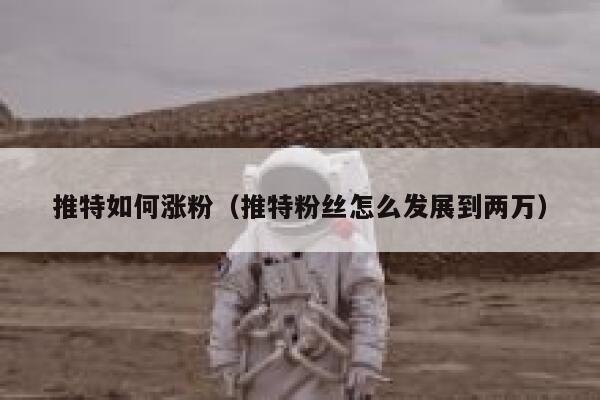 推特如何涨粉（推特粉丝怎么发展到两万） 第1张