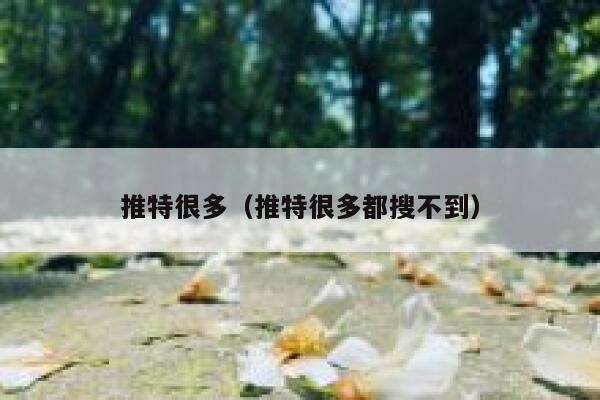 推特很多（推特很多都搜不到） 第1张