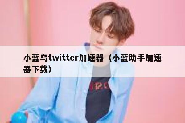 小蓝乌twitter加速器（小蓝助手加速器下载） 第1张