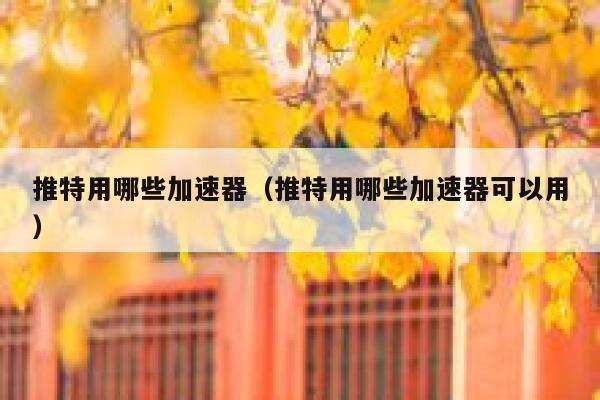 推特用哪些加速器（推特用哪些加速器可以用） 第1张