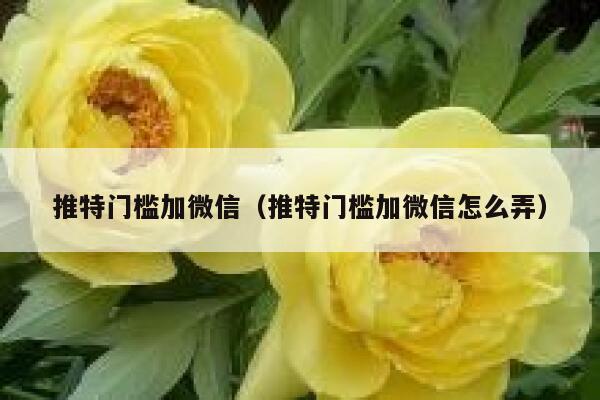 推特门槛加微信（推特门槛加微信怎么弄） 第1张
