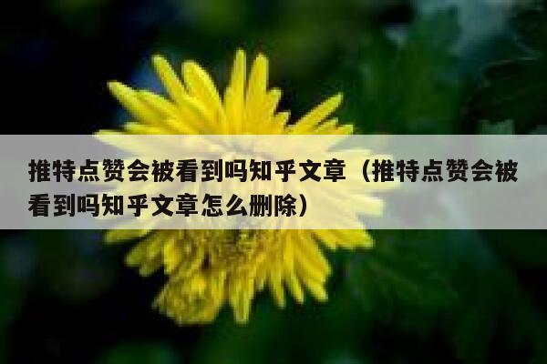 推特点赞会被看到吗知乎文章（推特点赞会被看到吗知乎文章怎么删除） 第1张