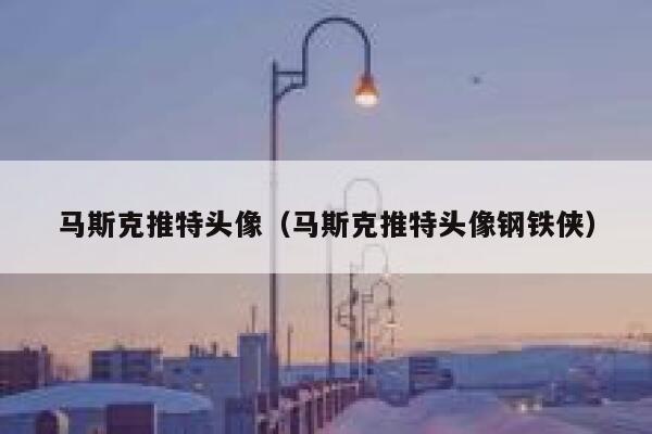 马斯克推特头像（马斯克推特头像钢铁侠） 第1张