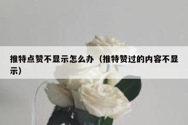 推特点赞不显示怎么办（推特赞过的内容不显示） 第1张