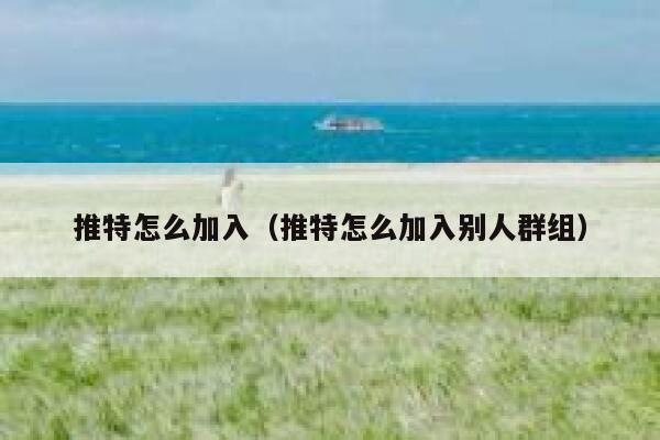 推特怎么加入（推特怎么加入别人群组） 第1张
