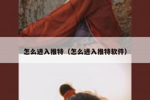 怎么进入推特（怎么进入推特软件） 第1张