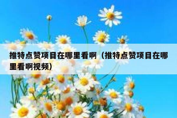推特点赞项目在哪里看啊（推特点赞项目在哪里看啊视频） 第1张