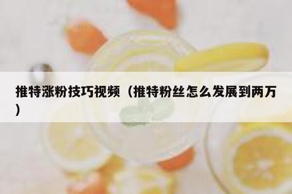 推特涨粉技巧视频（推特粉丝怎么发展到两万） 第1张