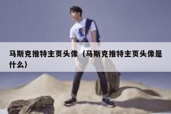 马斯克推特主页头像（马斯克推特主页头像是什么） 第1张