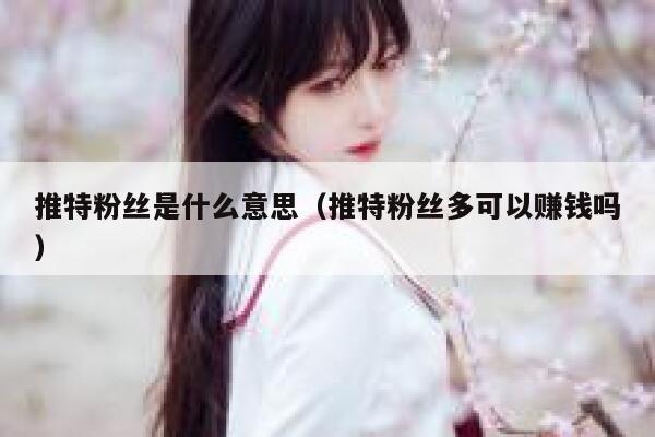 推特粉丝是什么意思（推特粉丝多可以赚钱吗） 第1张