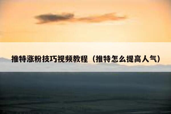 推特涨粉技巧视频教程（推特怎么提高人气） 第1张