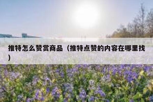 推特怎么赞赏商品（推特点赞的内容在哪里找） 第1张