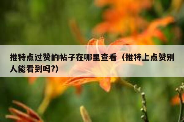 推特点过赞的帖子在哪里查看（推特上点赞别人能看到吗?） 第1张