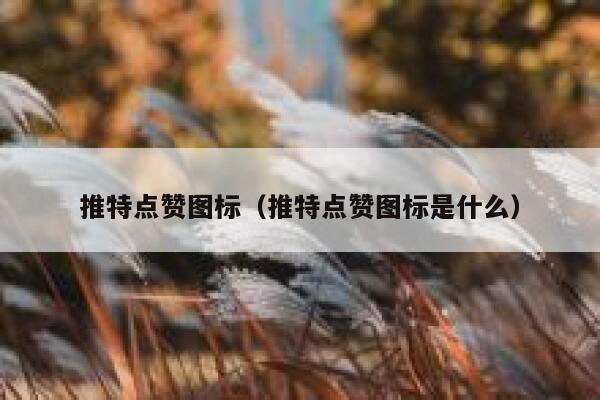 推特点赞图标（推特点赞图标是什么） 第1张