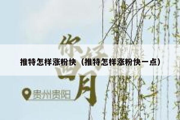 推特怎样涨粉快（推特怎样涨粉快一点） 第1张