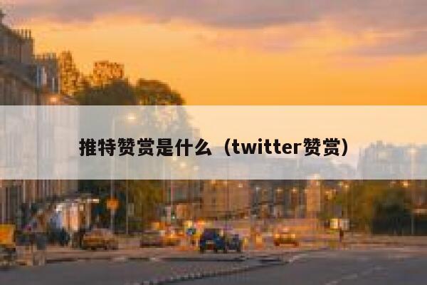 推特赞赏是什么（twitter赞赏） 第1张