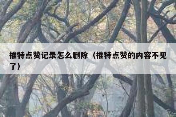 推特点赞记录怎么删除（推特点赞的内容不见了） 第1张