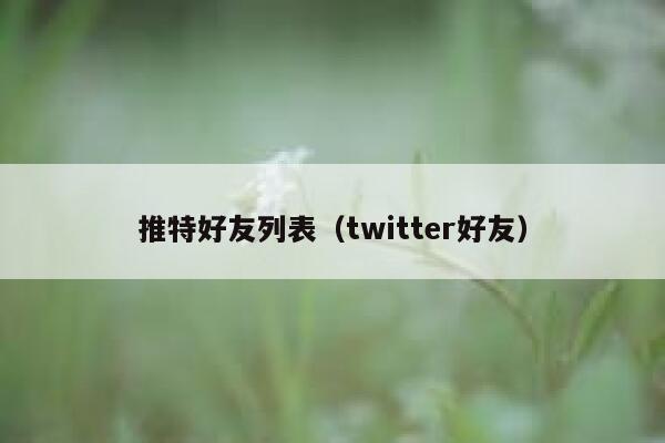 推特好友列表（twitter好友） 第1张