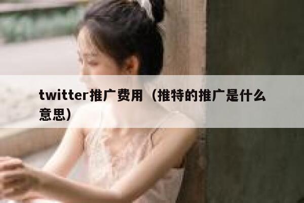 twitter推广费用（推特的推广是什么意思） 第1张