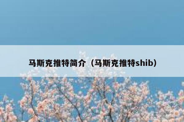 马斯克推特简介（马斯克推特shib） 第1张