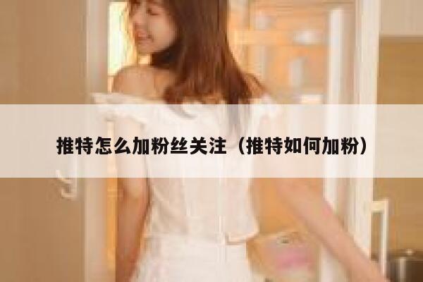 推特怎么加粉丝关注（推特如何加粉） 第1张