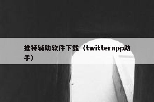 推特辅助软件下载（twitterapp助手） 第1张