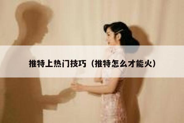 推特上热门技巧（推特怎么才能火） 第1张