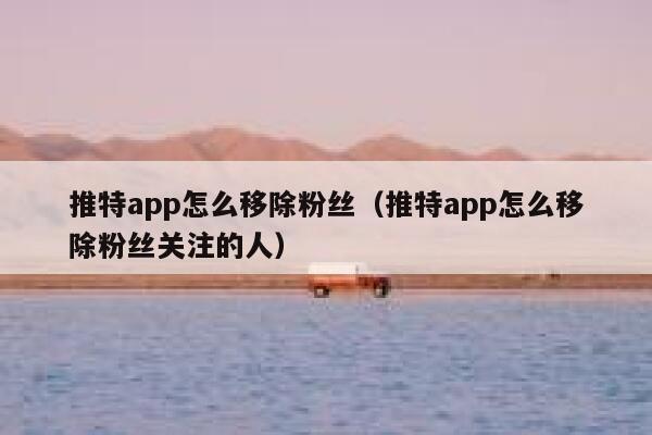 推特app怎么移除粉丝（推特app怎么移除粉丝关注的人） 第1张