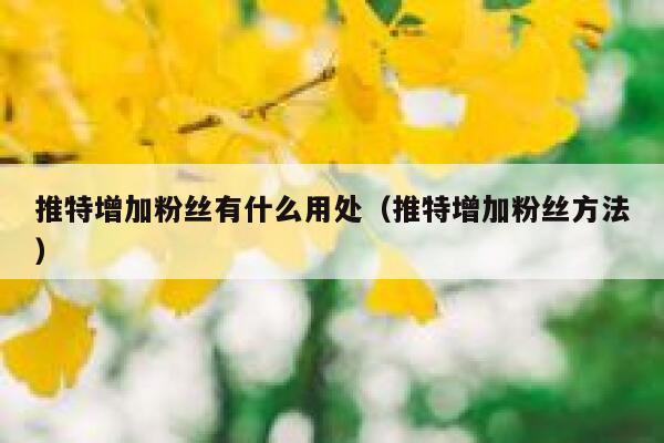 推特增加粉丝有什么用处（推特增加粉丝方法） 第1张