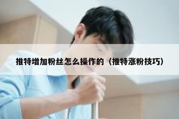 推特增加粉丝怎么操作的（推特涨粉技巧） 第1张