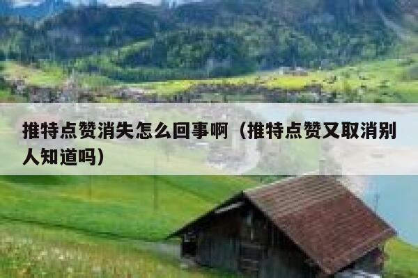 推特点赞消失怎么回事啊（推特点赞又取消别人知道吗） 第1张