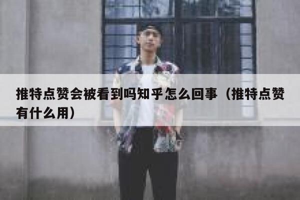 推特点赞会被看到吗知乎怎么回事（推特点赞有什么用） 第1张
