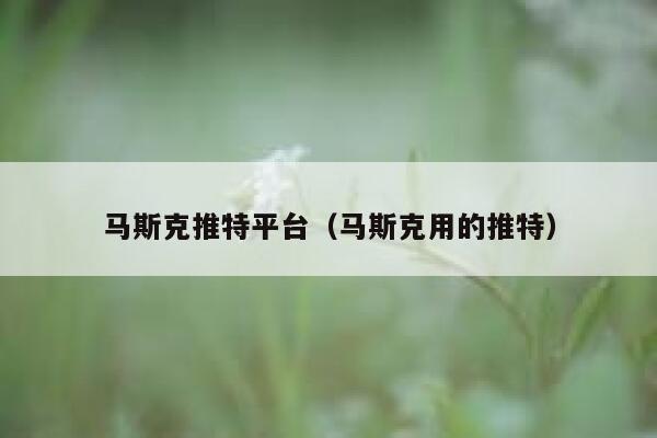 马斯克推特平台（马斯克用的推特） 第1张