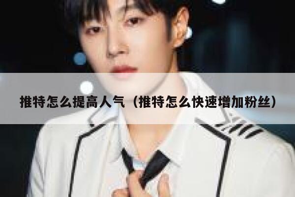 推特怎么提高人气（推特怎么快速增加粉丝） 第1张