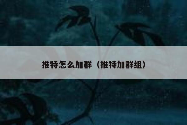 推特怎么加群（推特加群组） 第1张