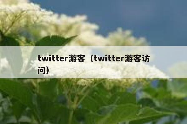 twitter游客（twitter游客访问） 第1张