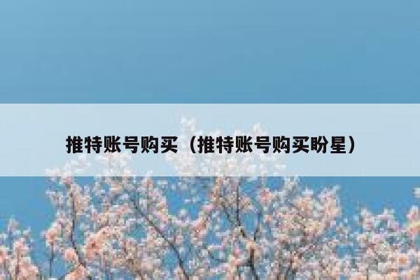 推特账号购买（推特账号购买盼星） 第1张