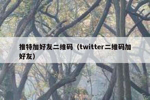 推特加好友二维码（twitter二维码加好友） 第1张