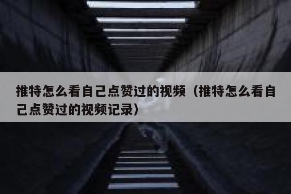 推特怎么看自己点赞过的视频（推特怎么看自己点赞过的视频记录） 第1张