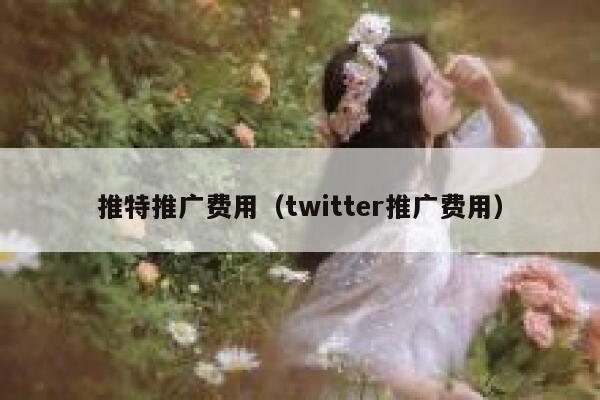 推特推广费用（twitter推广费用） 第1张