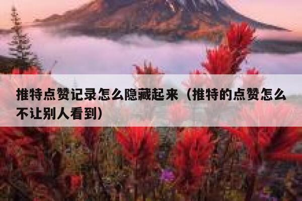 推特点赞记录怎么隐藏起来（推特的点赞怎么不让别人看到） 第1张