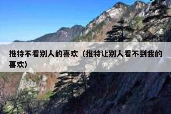 推特不看别人的喜欢（推特让别人看不到我的喜欢） 第1张