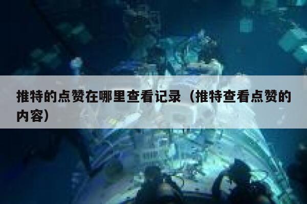 推特的点赞在哪里查看记录（推特查看点赞的内容） 第1张