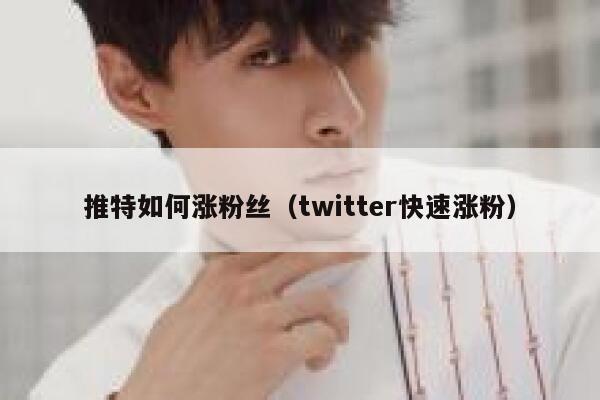 推特如何涨粉丝（twitter快速涨粉） 第1张