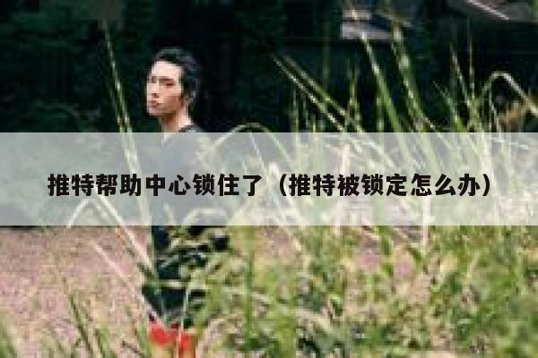 推特帮助中心锁住了（推特被锁定怎么办） 第1张