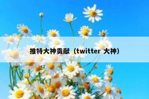 推特大神贡献（twitter 大神） 第1张