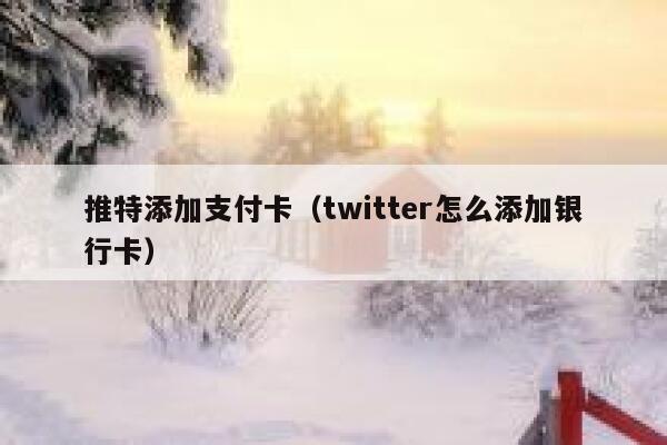 推特添加支付卡（twitter怎么添加银行卡） 第1张