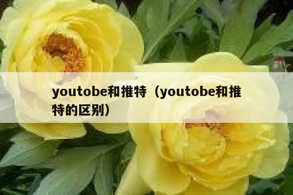 youtobe和推特（youtobe和推特的区别） 第1张
