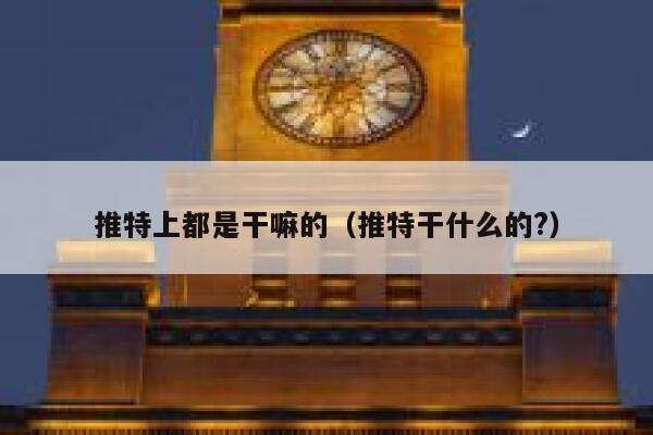 推特上都是干嘛的（推特干什么的?） 第1张