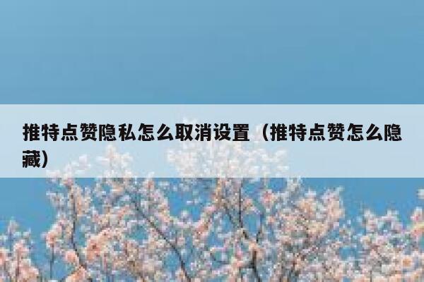 推特点赞隐私怎么取消设置（推特点赞怎么隐藏） 第1张